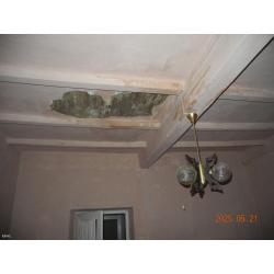 5451 Öcsöd, József Attila sor 1.