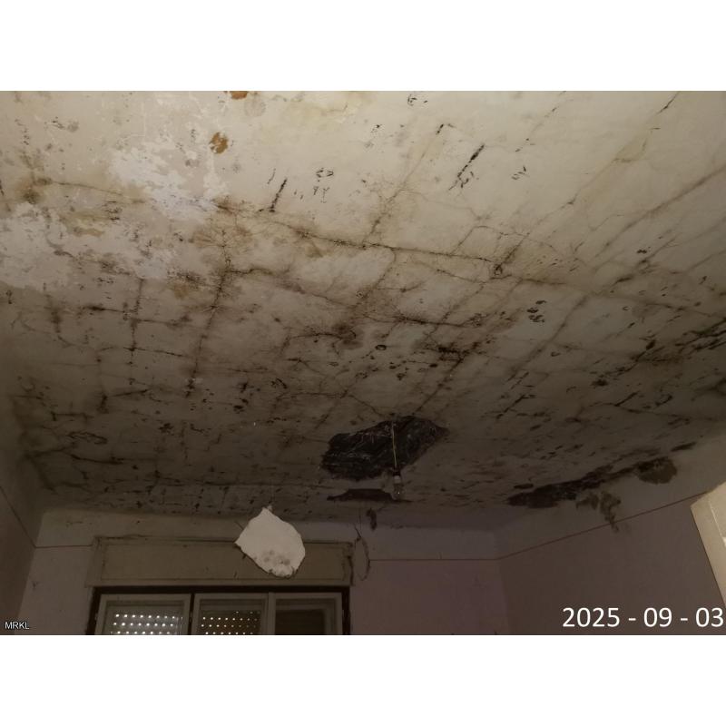 4355 Nagyecsed, Petőfi Sándor utca 171