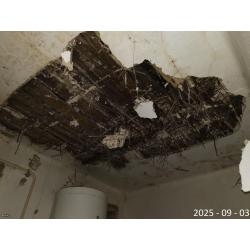 4355 Nagyecsed, Petőfi Sándor utca 171