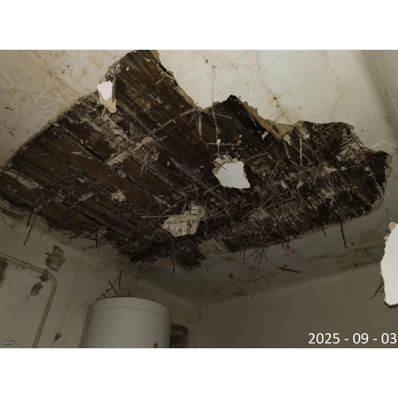 4355 Nagyecsed, Petőfi Sándor utca 171