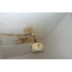 8557 Bakonyszentiván, Béke utca 8.