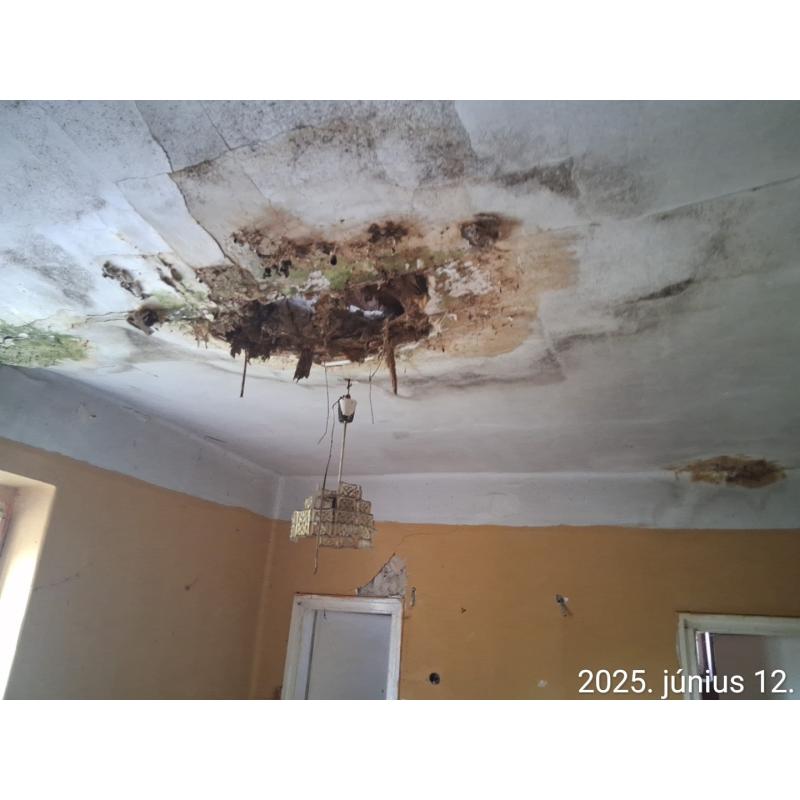 3250 Pétervására, Petőfi Sándor út 46.
