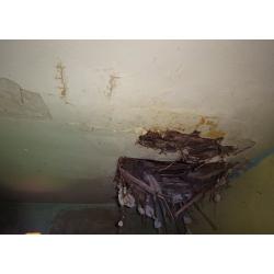 5630 Békés, Kölcsey utca 42.