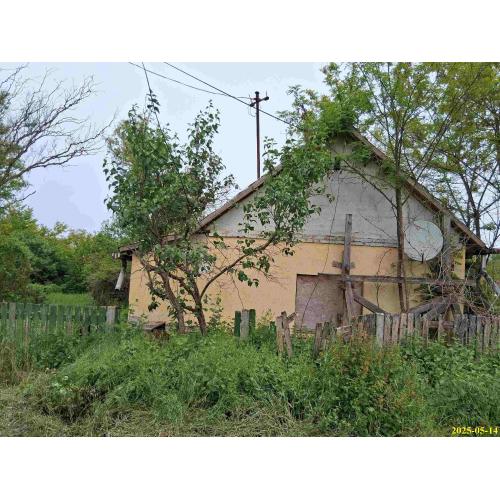 4441 Szorgalmatos, Virág utca 4.