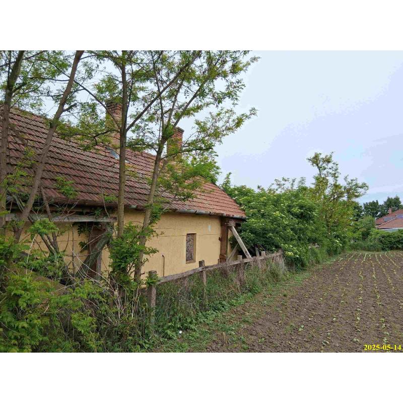 4441 Szorgalmatos, Virág utca 4.