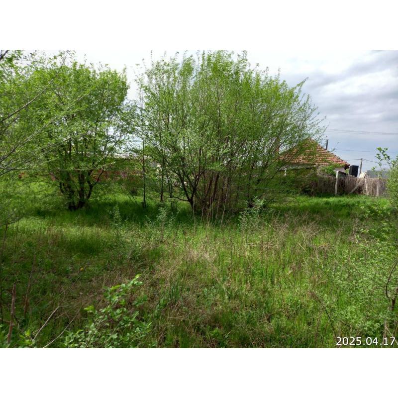 6066 Tiszaalpár, Bethlen Gábor utca 48.