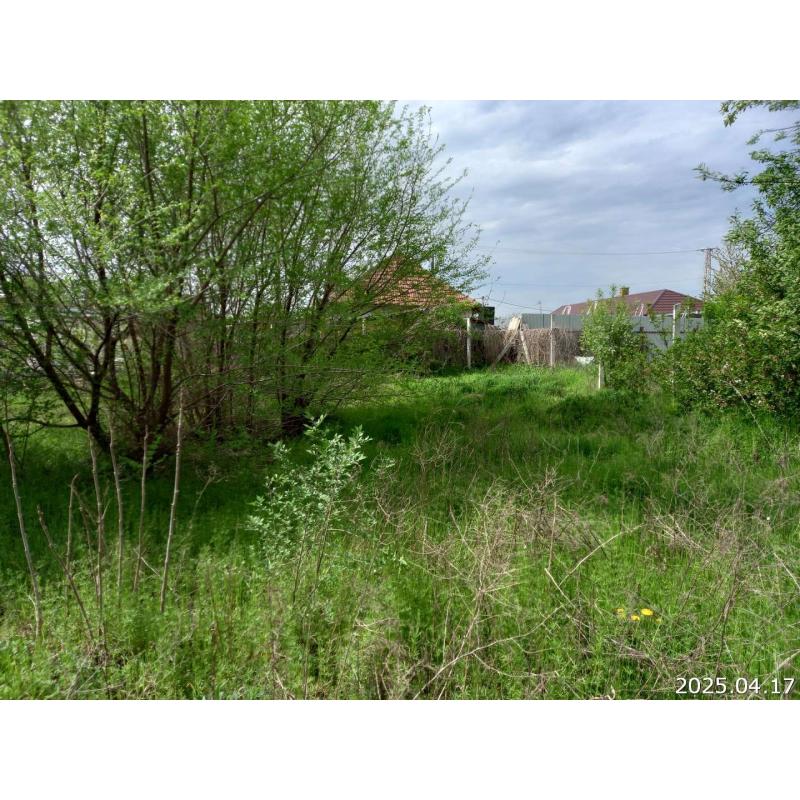 6066 Tiszaalpár, Bethlen Gábor utca 48.