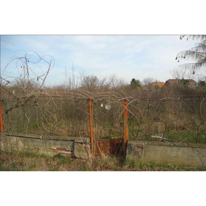 5475 Csépa, Bajcsy-Zsilinszky utca 3.