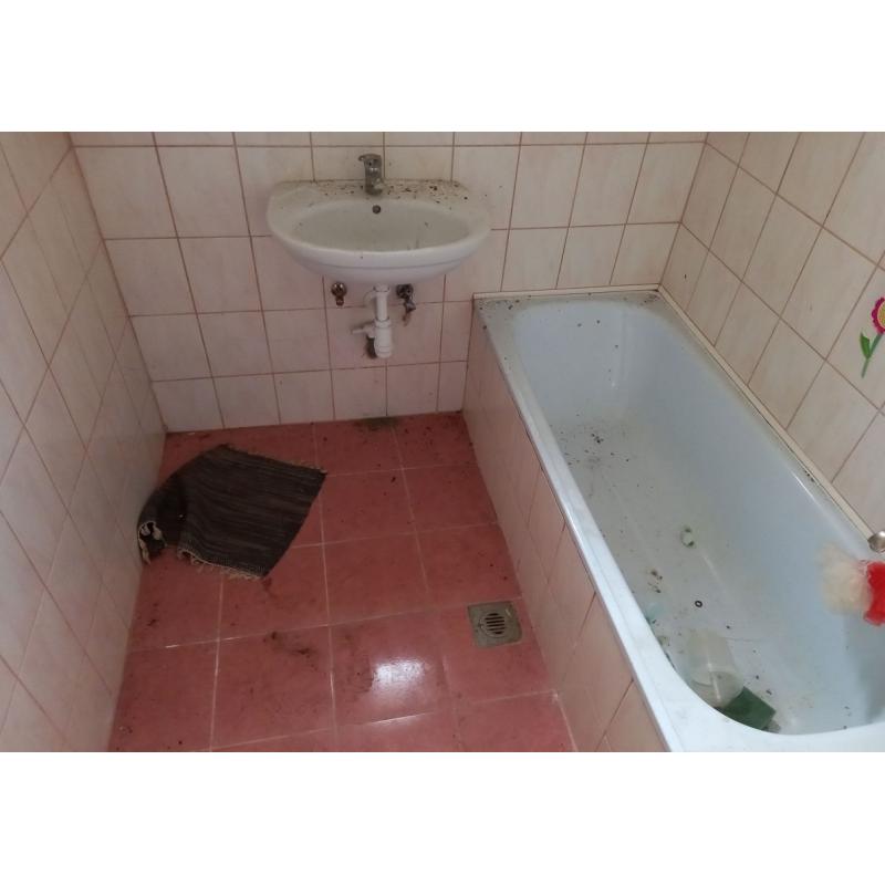 4450 Tiszalök, Mester utca 11/2