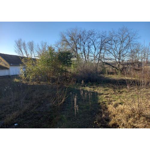 6066 Tiszaalpár, József Attila utca 65.