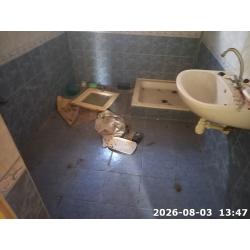 5540 Szarvas, Csokonai utca 20
