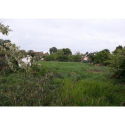 5650 Mezőberény, Báthory utca 36.