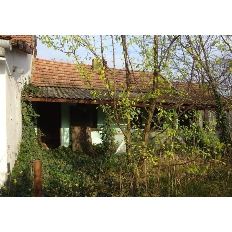 5919 Pusztaföldvár, Bajcsy-Zsilinszky utca 22.