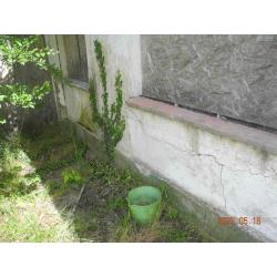 5211 Tiszapüspöki, Zsák utca 1.