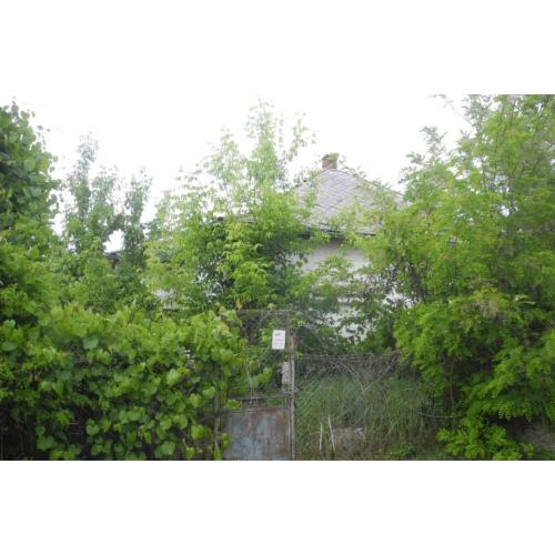 5211 Tiszapüspöki, Zsák utca 1.