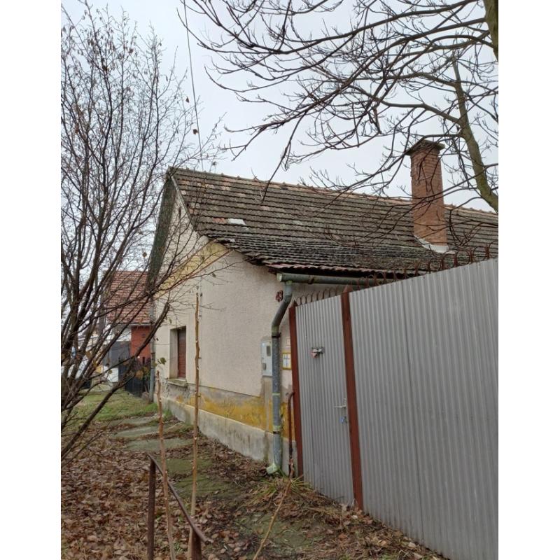 6760 Kistelek, Vágóhíd utca 43.