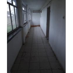 5920 Csorvás, Árpád utca 19.