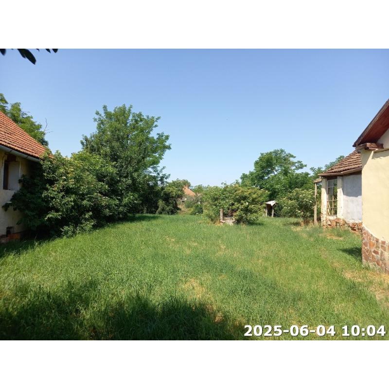 5650 Mezőberény, Dózsa utca 22