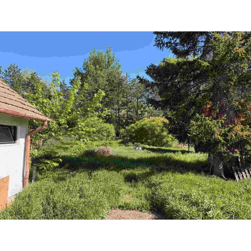 6726 Szeged, Fürj utca 106.