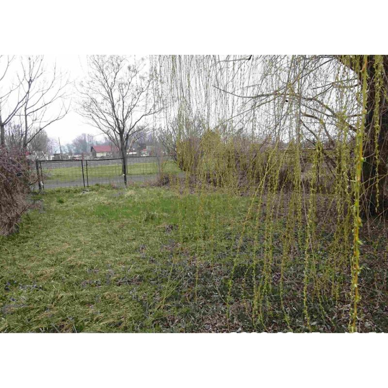 5600 Békéscsaba, Rell Lajos utca 21.