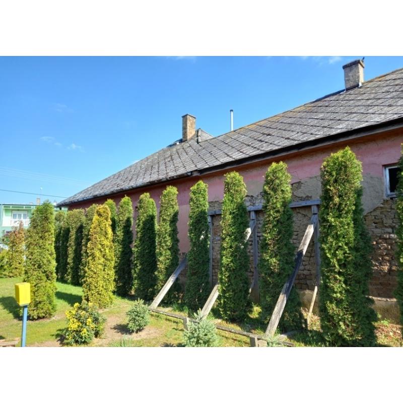 4564 Nyírmada, Kisvárdai út 21