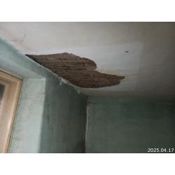 6066 Tiszaalpár, Vásárhelyi Pál utca 4