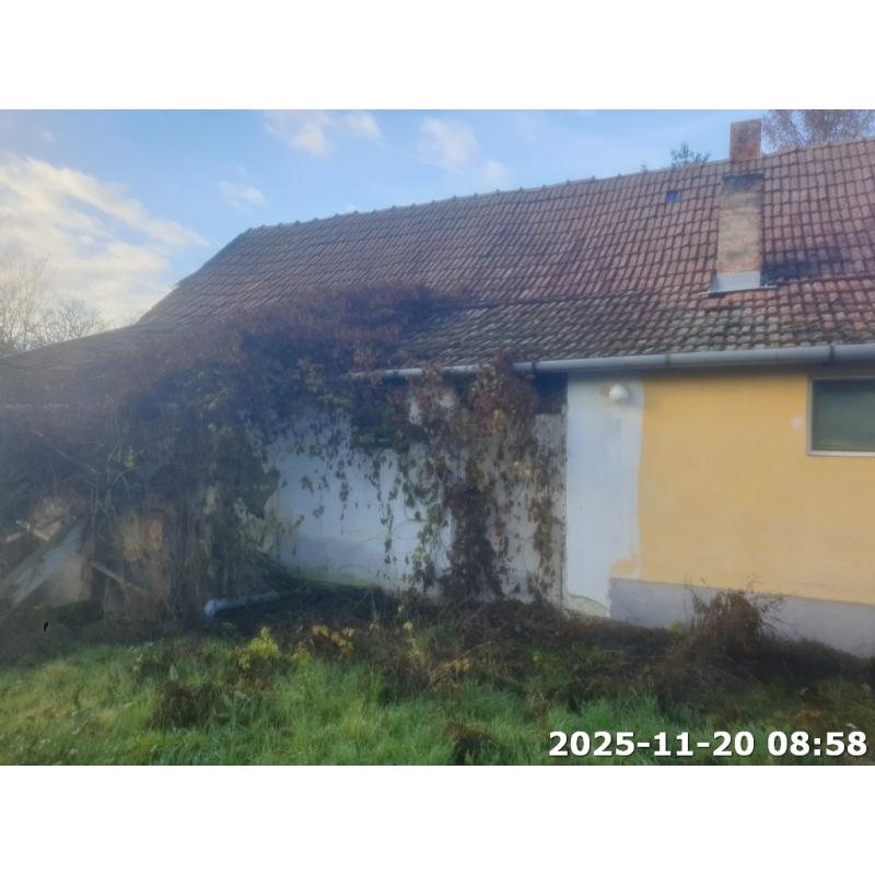 5661 Újkígyós, Rákóczi Ferenc utca 26.