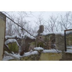 6440 Jánoshalma, Vadgalamb utca 41.