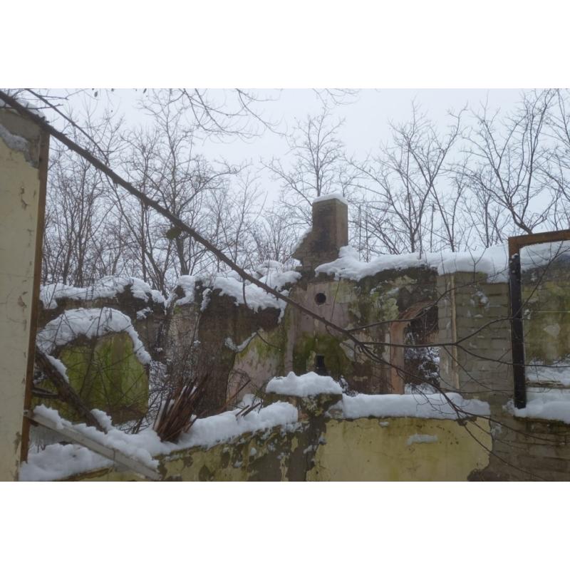 6440 Jánoshalma, Vadgalamb utca 41.