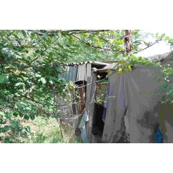 7391 Mindszentgodisa, Petőfi Sándor utca 82.