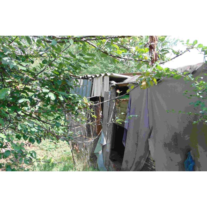 7391 Mindszentgodisa, Petőfi Sándor utca 82.