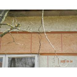 5476 Szelevény, Bem József út 10