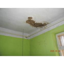 5476 Szelevény, Bem József út 10