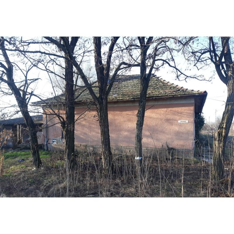 5919 Pusztaföldvár, Dózsa utca 2