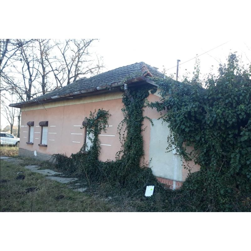 5919 Pusztaföldvár, Dózsa utca 2