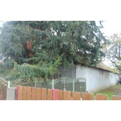 2365 Inárcs, Rákóczi utca 54