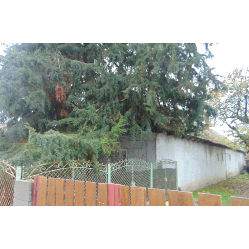 2365 Inárcs, Rákóczi utca 54