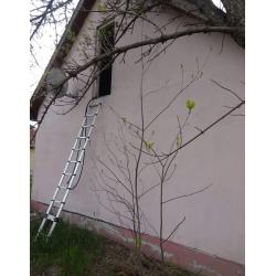 5720 Sarkad, Zöldfa utca 26