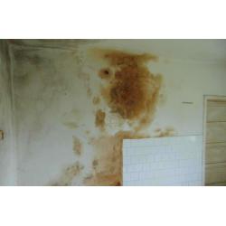 7537 Homokszentgyörgy, Petőfi utca 2.