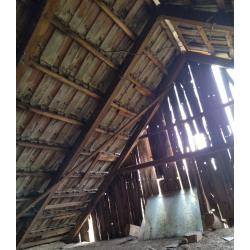 5667 Magyarbánhegyes, Alkotmány utca 81.