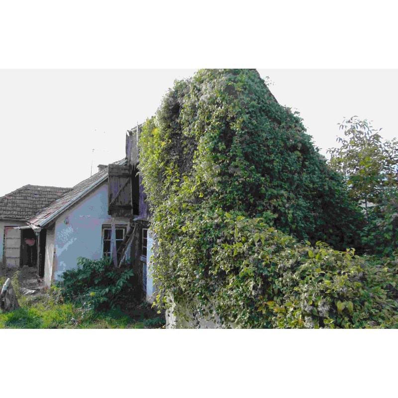 7443 Somogyjád, Dózsa György utca 13