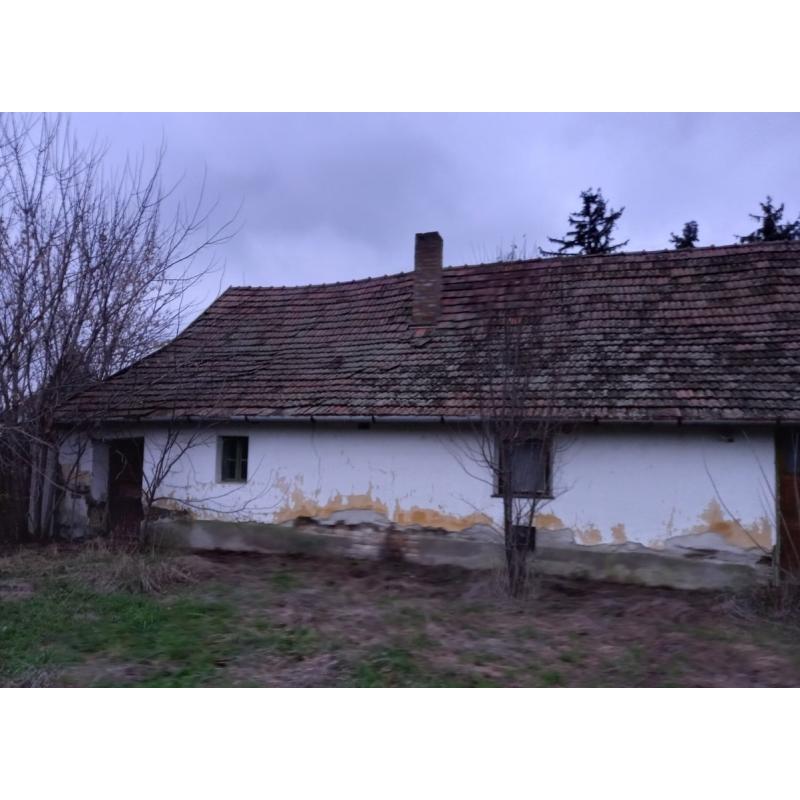 6755 Kübekháza, Szántó Kovács János utca 555