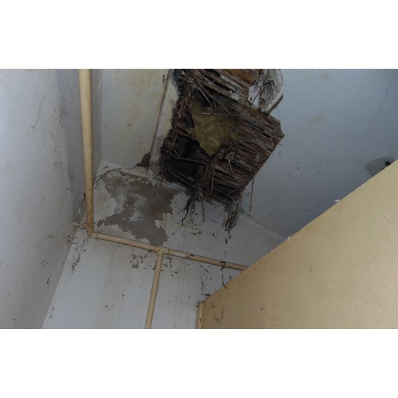 6440 Jánoshalma, Orczy utca 115