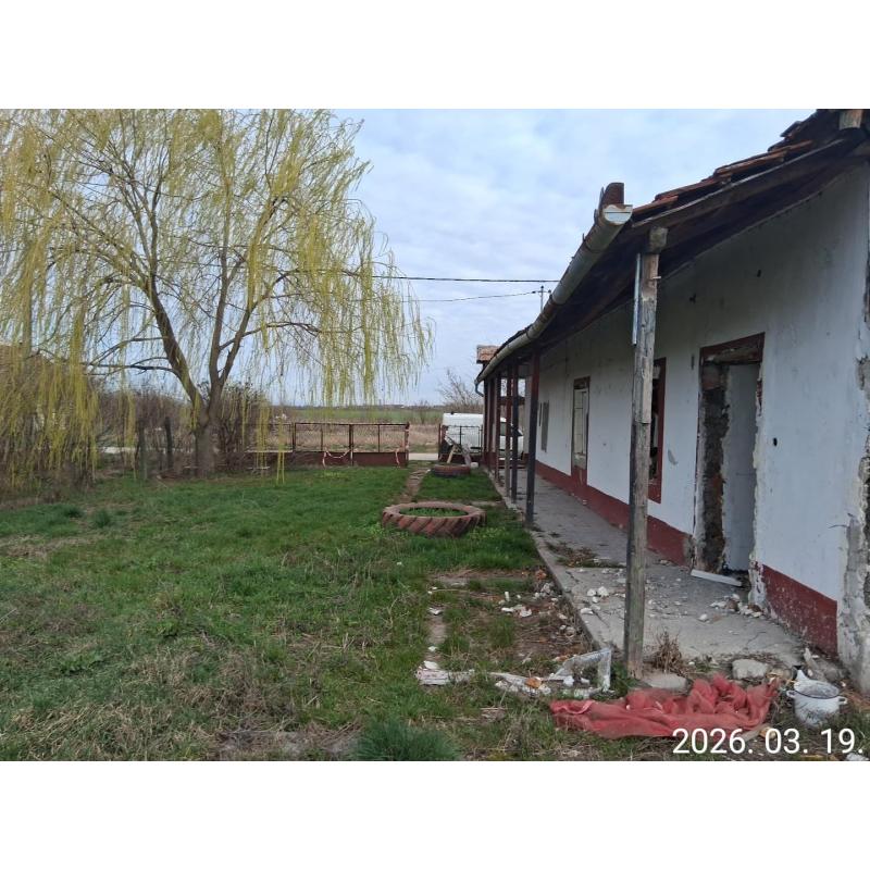 3386 Sarud, Csalogány utca 18