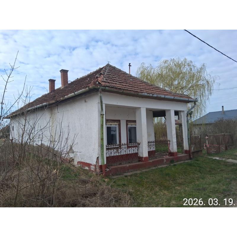 3386 Sarud, Csalogány utca 18